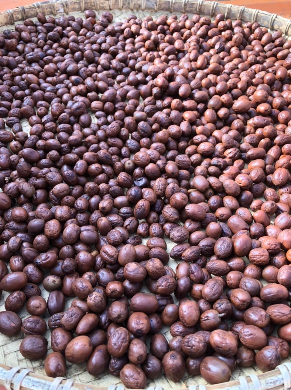 (Exclusive) Sabah Malaysia Tapai