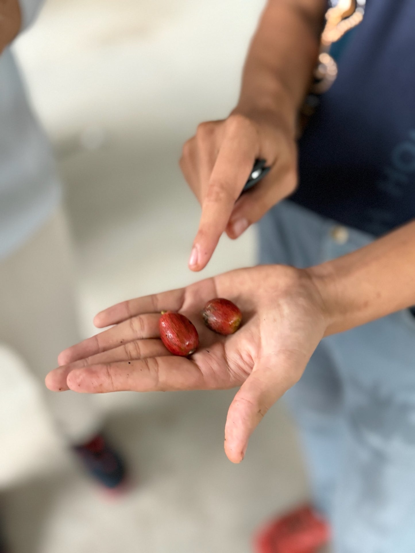 Natural Sun Dry MyLiberica Malaysia