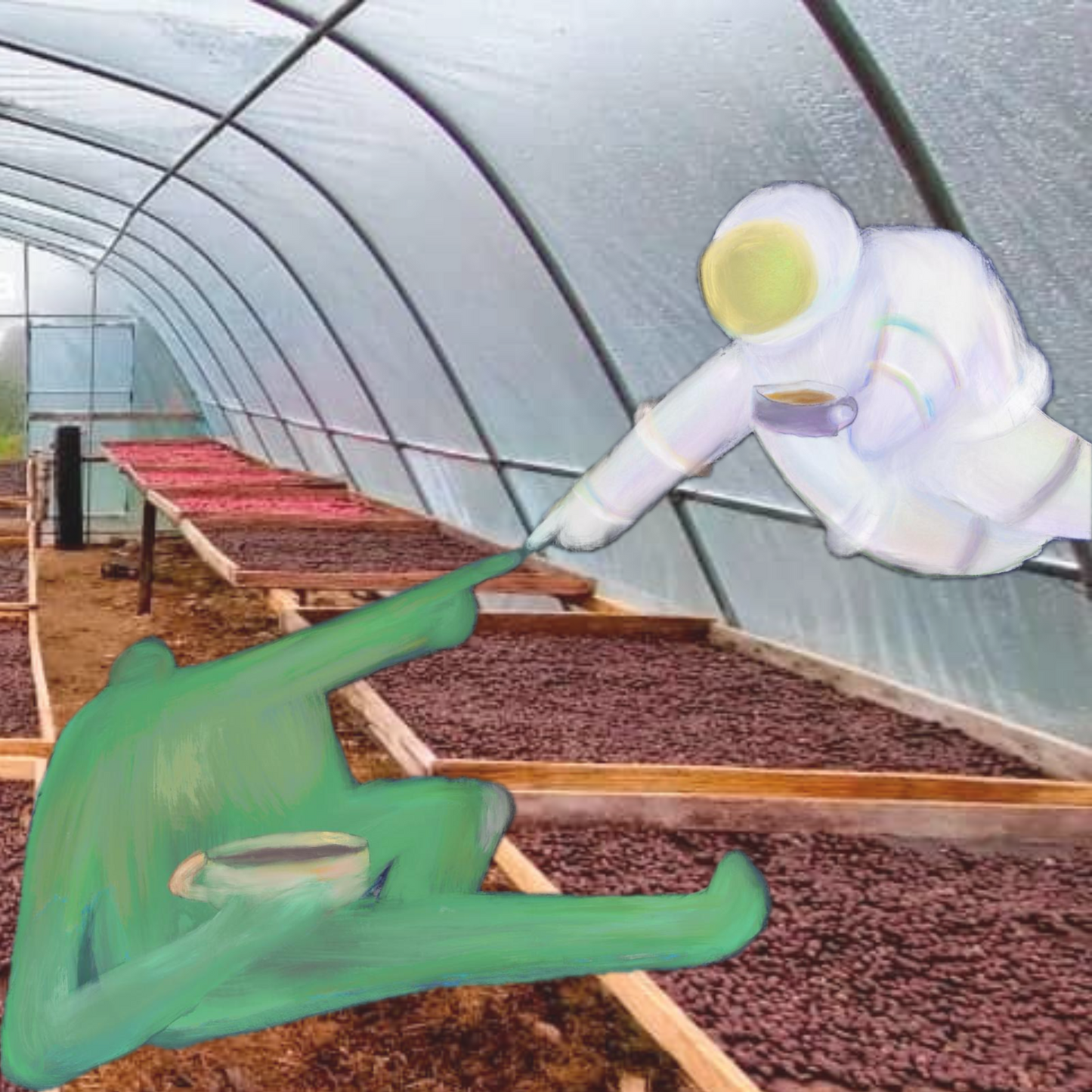 (Exclusive) Sabah Malaysia Tapai