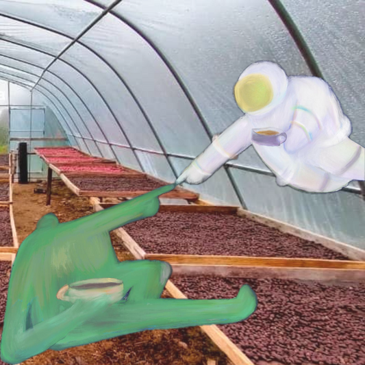 (Exclusive) Sabah Malaysia Tapai