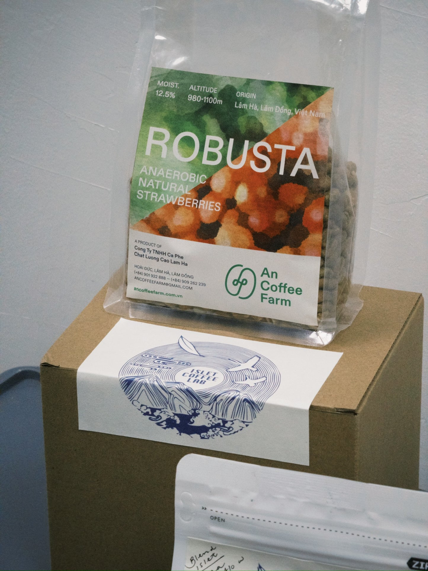 小島 Blend Box Set